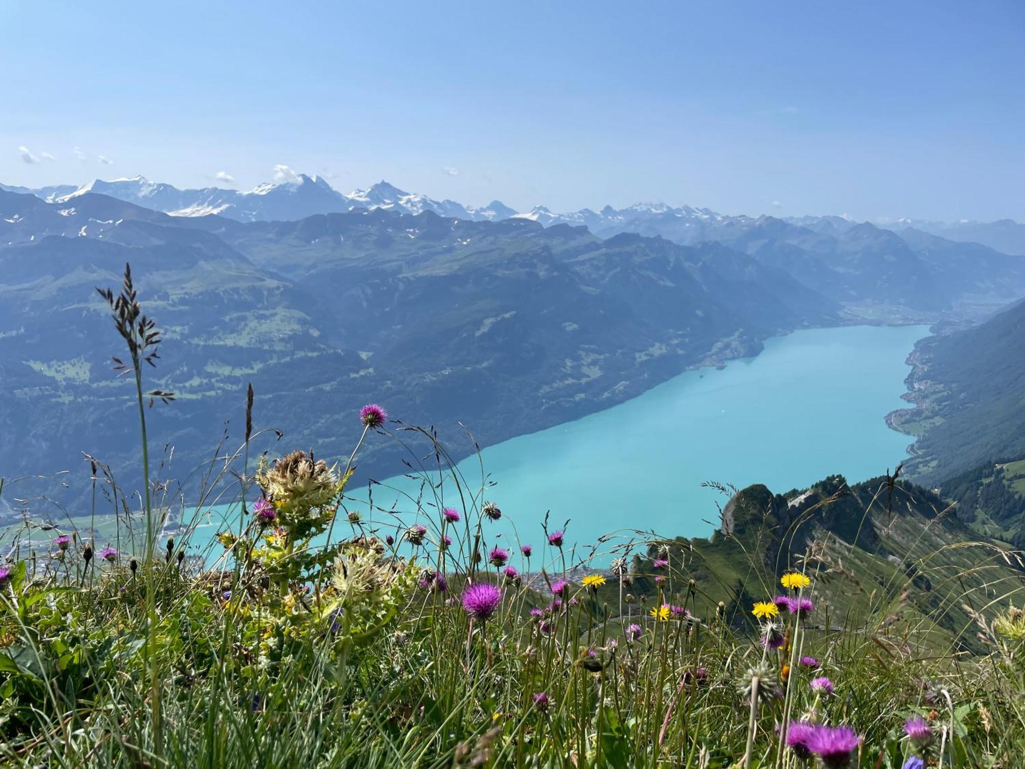 Romantic Lake & Mountain Apartment Pure Swissness Brienz  Extérieur photo