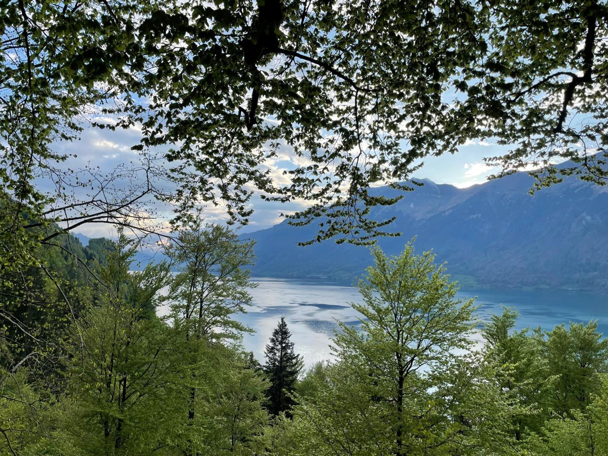 Romantic Lake & Mountain Apartment Pure Swissness Brienz  Extérieur photo