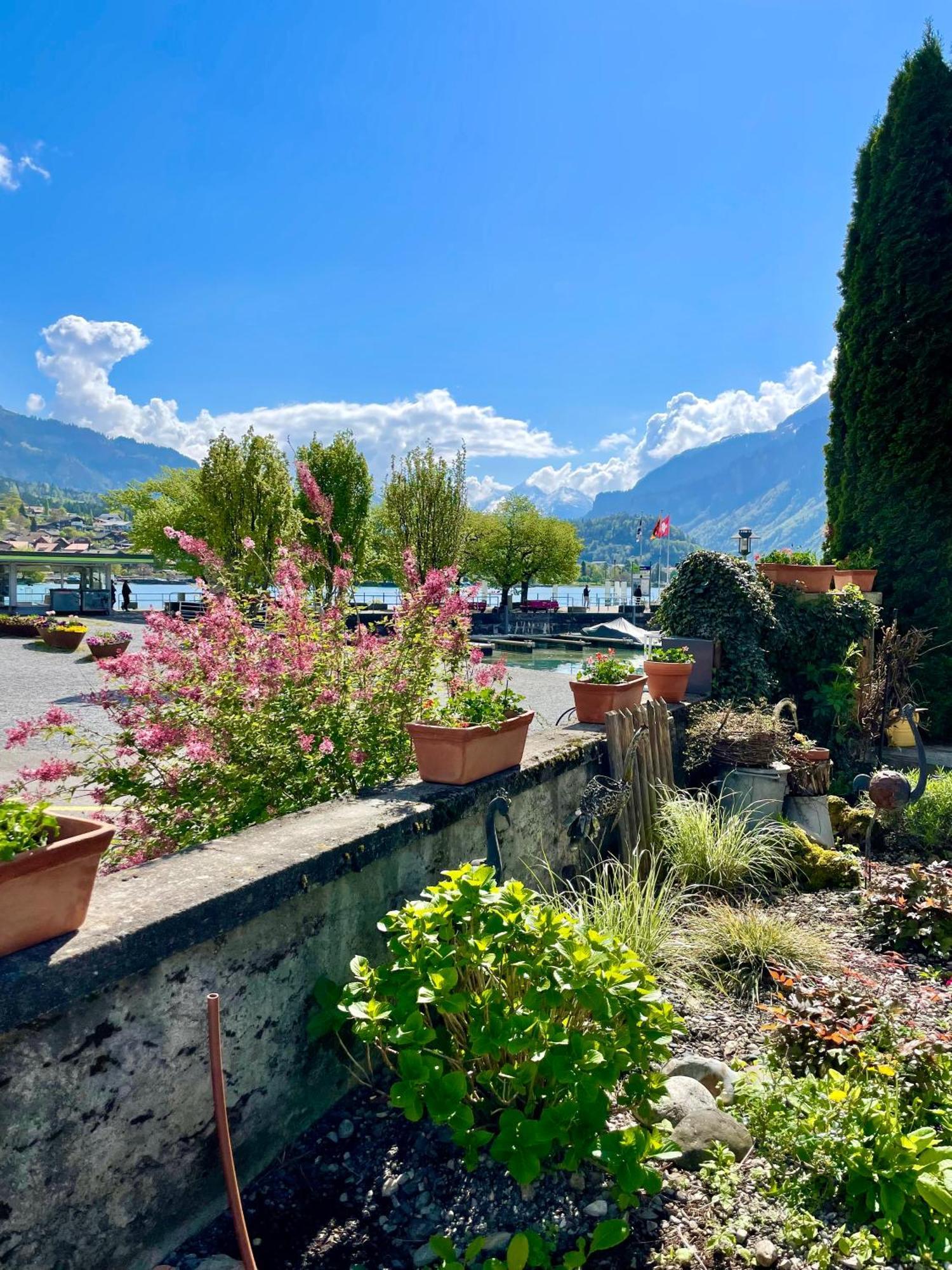 Romantic Lake & Mountain Apartment Pure Swissness Brienz  Extérieur photo